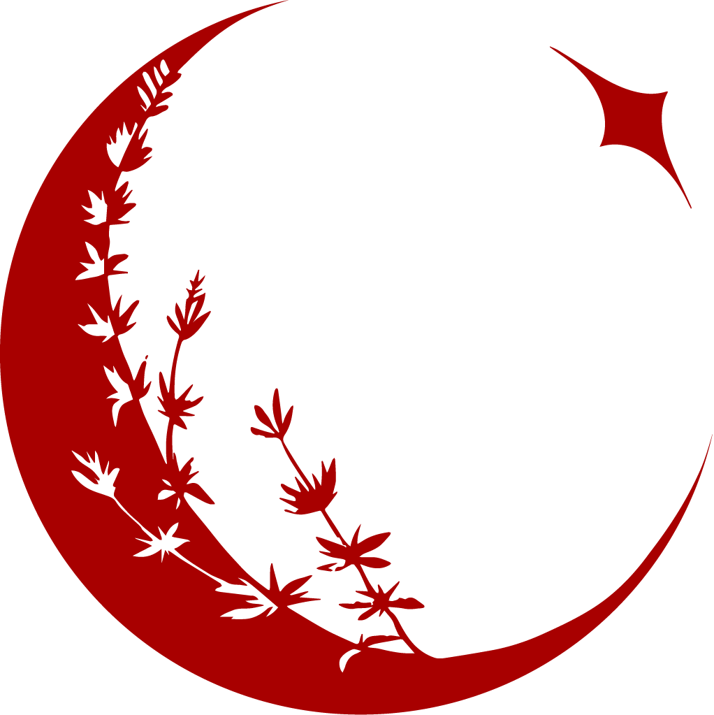 Moon Thyme Journal